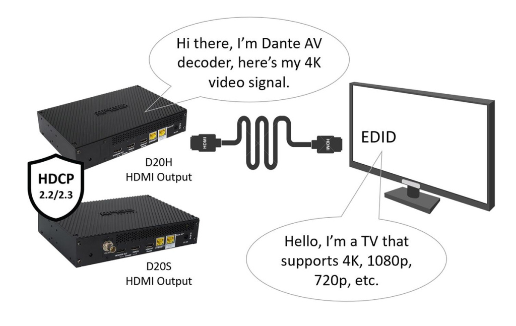 Bolin D20H / D20S - Выход HDMI и SDI